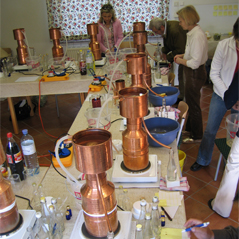 Homemade Essential Oil Distillation: Workshop classes, online courses, stills and equipment, Know-How